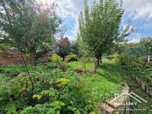 Prodej rodinného domu, Moravské Málkovice, 50 m2