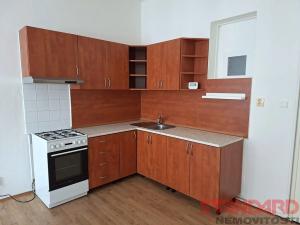 Pronájem bytu 1+1, Plzeň, Vrchlického, 51 m2
