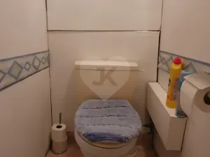 Prodej bytu 2+kk, Teplice, Arbesova, 47 m2