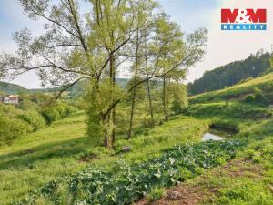 Prodej chalupy, Starý Šachov, 100 m2