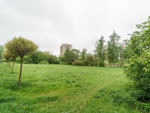 Pronájem bytu 3+1, Ostrava, Opavská, 83 m2