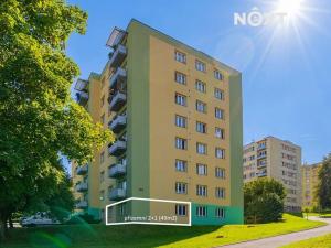 Prodej bytu 2+1, Český Krumlov, Sídliště Plešivec, 49 m2