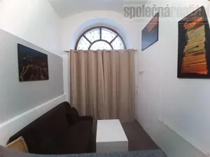 Prodej bytu 2+kk, Praha - Žižkov, Štítného, 53 m2