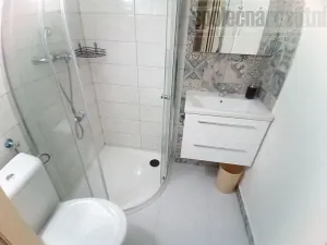 Prodej bytu 2+kk, Praha - Žižkov, Štítného, 53 m2