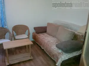 Pronájem bytu 1+1, Holubice, U Parku, 40 m2