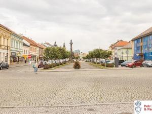 Pronájem bytu 1+1, Rakovník, Nádražní, 48 m2