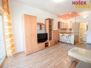 Pronájem bytu 1+kk, Brno, Zlínská, 30 m2