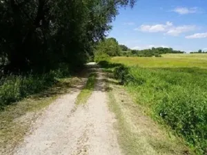 Dražba louky, Dubá, 772 m2
