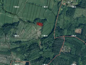 Prodej lesa, Kolinec, 5322 m2