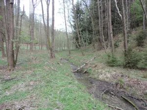 Prodej lesa, Osečná, 3006 m2