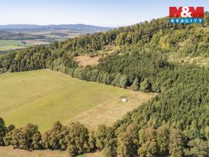 Prodej louky, Kdyně, 5287 m2