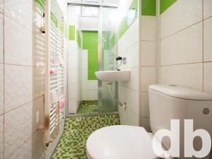 Prodej bytu 1+1, Karlovy Vary, Závodu míru, 45 m2