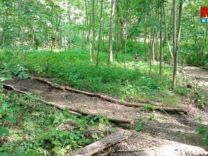 Prodej louky, Votice, 1118 m2