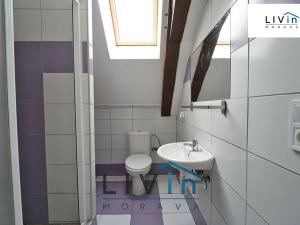 Pronájem bytu 1+1, Olomouc, Zámečnická, 30 m2