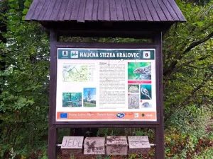 Prodej komerční nemovitosti, Valašské Klobouky, 467 m2