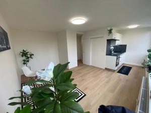 Prodej bytu 1+kk, Praha - Karlín, Nekvasilova, 30 m2