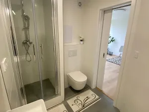 Prodej bytu 1+kk, Praha - Karlín, Nekvasilova, 30 m2