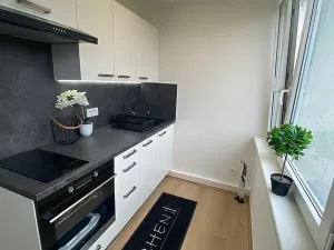 Prodej bytu 1+kk, Praha - Karlín, Nekvasilova, 30 m2