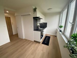 Prodej bytu 1+kk, Praha - Karlín, Nekvasilova, 30 m2