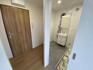 Prodej bytu 1+kk, Praha - Karlín, Nekvasilova, 30 m2