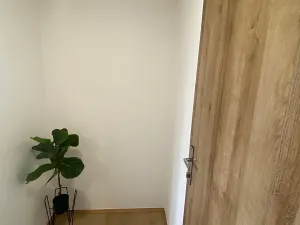 Prodej bytu 1+kk, Praha - Karlín, Nekvasilova, 30 m2