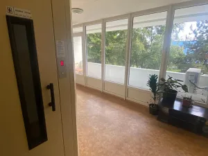 Prodej bytu 1+kk, Praha - Karlín, Nekvasilova, 30 m2