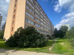 Prodej bytu 1+kk, Praha - Karlín, Nekvasilova, 30 m2