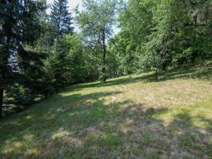 Prodej zahrady, Stříbrná Skalice, osada Spálený, 1015 m2