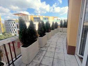 Prodej bytu 1+1, Praha - Veleslavín, Veleslavínská, 54 m2