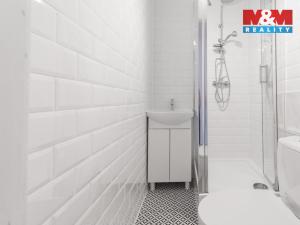 Prodej bytu 1+kk, Český Těšín, Moskevská, 25 m2