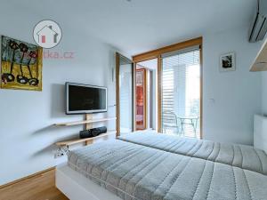 Prodej bytu 2+kk, Praha - Žižkov, Havlíčkovo náměstí, 60 m2