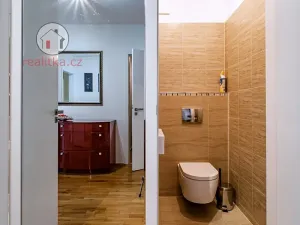 Prodej bytu 2+kk, Praha - Žižkov, Havlíčkovo náměstí, 60 m2