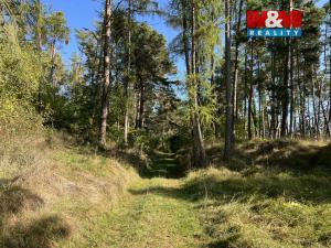 Prodej rodinného domu, Čímice, 200 m2