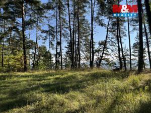 Prodej rodinného domu, Čímice, 200 m2