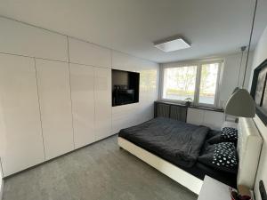 Pronájem bytu 2+kk, Pardubice - Zelené Předměstí, Jindřišská, 54 m2