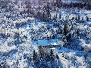 Prodej chaty, Mikulovice, 229 m2