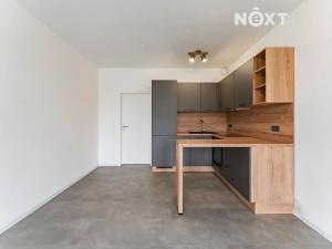 Pronájem bytu 1+kk, Olomouc, Aloise Rašína, 28 m2
