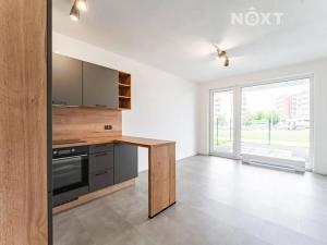 Pronájem bytu 1+kk, Olomouc, Aloise Rašína, 28 m2