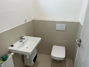 Pronájem obchodního prostoru, Brno, Bratislavská, 235 m2