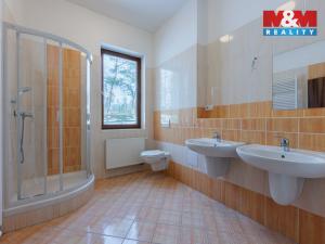 Prodej rodinného domu, Nová Role - Mezirolí, 376 m2