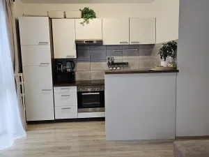 Pronájem bytu 3+kk, Břežany II, 75 m2