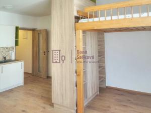 Pronájem bytu 1+kk, Jindřichův Hradec, Panská, 32 m2