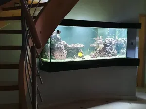 Prodej rodinného domu, Česká Třebová, Grégrova, 350 m2