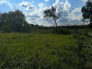 Prodej pozemku pro bydlení, Krušovice, 1250 m2