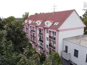 Prodej bytu 2+1, Židlochovice, sídl. Družba, 55 m2