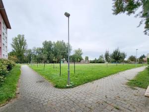Prodej bytu 2+1, Židlochovice, sídl. Družba, 55 m2