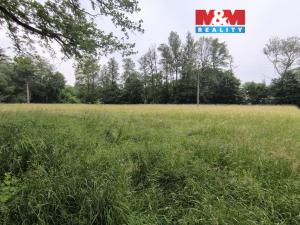 Prodej lesa, Střelské Hoštice - Kozlov, 20128 m2