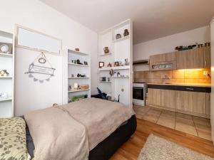 Prodej bytu 1+1, Plzeň, Ke Sv. Jiří, 51 m2