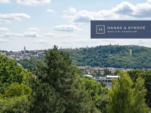 Prodej podílu rodinného domu, Brno, Chlubnova, 206 m2