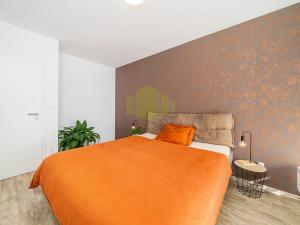 Prodej bytu 2+kk, Olomouc, 17. listopadu, 60 m2